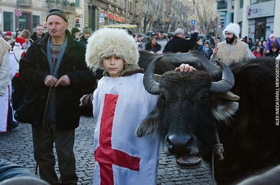 фото : Александр Имедашвили, NEWSGEORGIA