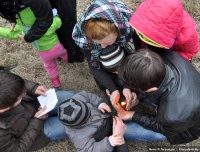http://www.pravoslavie.ru/sas/image/101611/161179.t.jpg