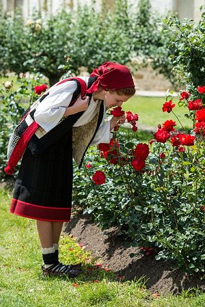 http://www.pravoslavie.ru/sas/image/101835/183501.p.jpg?0.31486256164498627